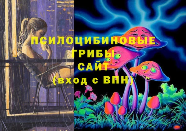 ГАЛЛЮЦИНОГЕННЫЕ ГРИБЫ Арсеньев