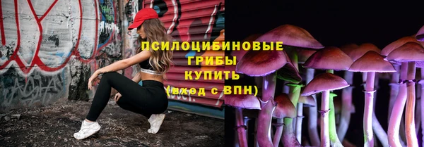 молекула духа Аркадак