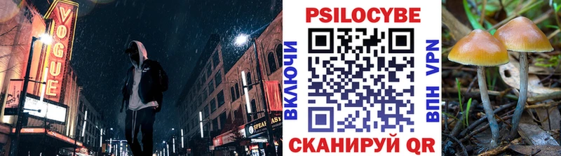 Псилоцибиновые грибы мицелий  Обоянь 